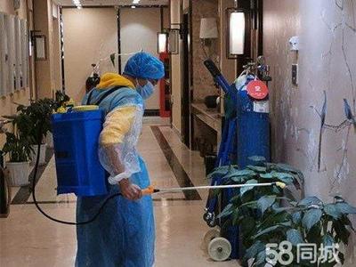 專業保潔服務 從美縫除醛到衣櫥整理，全方位守護家居健康